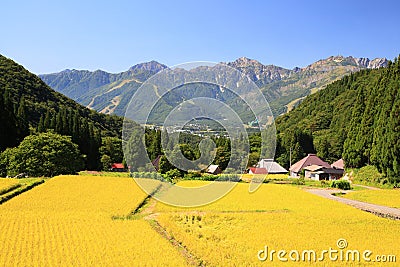 Japan Alps and rice field Stock Photo