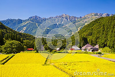 Japan Alps and rice field Stock Photo