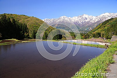 Japan Alps and terrace paddy field Stock Photo