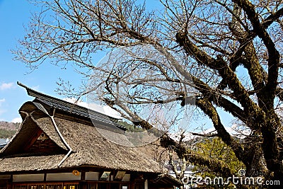 japan house roof in Oshino Village Stock Photo
