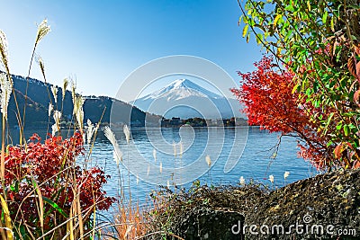 Japan Mount Fuji and Kawaguchiko Lake Autumn View Stock Photo