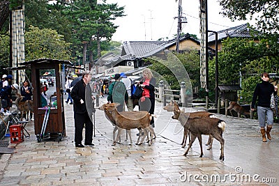 Japan : Nara Park Editorial Stock Photo