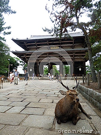 JAPAN. Nara. Todaiji Temple Editorial Stock Photo