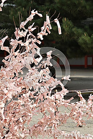 Japan omikuji fortunes Stock Photo
