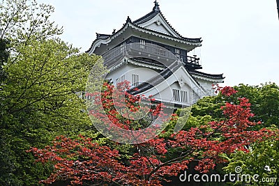 Japan sightseeing trip. 'Okazaki castle'. Okazaki city Aichi prefecture. Stock Photo