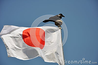 Japan.travel to Japan.Osaka.flag of Japan Editorial Stock Photo