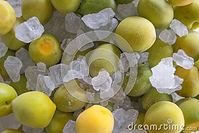 Japanese apricot with rock sugar Stock Photo