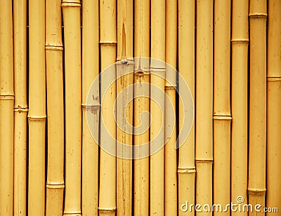 Japanese bamboo background Stock Photo