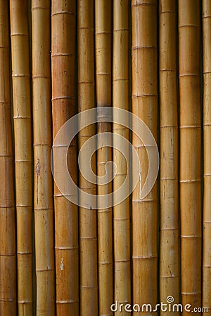 Japanese bamboo background Stock Photo