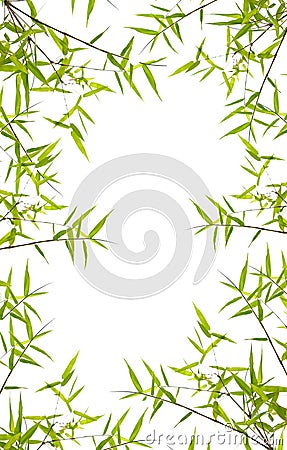 Japanese bamboo leaves Stock Photo