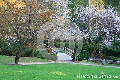 Japanese bridge Stock Photo