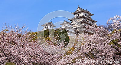 Japanese castle and Beautiful flower Stock Photo