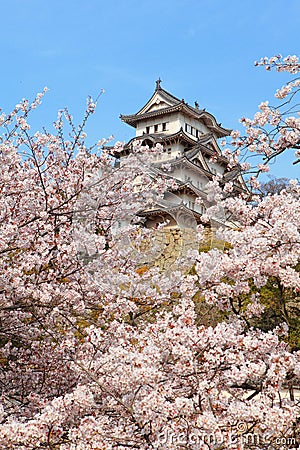 Japanese castle and Beautiful flower Stock Photo