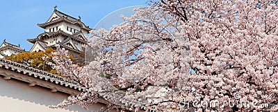 Japanese castle and Beautiful flower Stock Photo