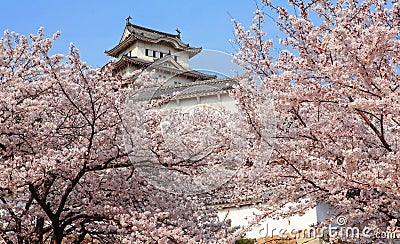 Japanese castle and Beautiful flower Stock Photo