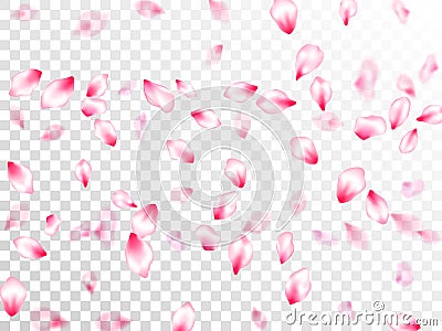 Japanese cherry blossom pink flying petals Vector Illustration