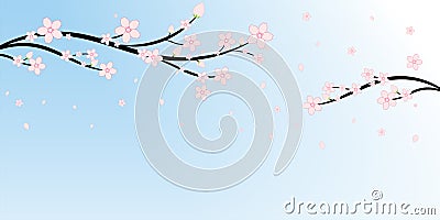 Japanese Cherry Blossoms and Branches Pattern background, Sakura flower vector illustration, Blue sky backgrounds Vector Illustration