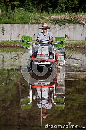 Japanese farmer planting a rice field by tractor Editorial Stock Photo