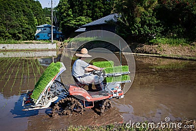 Japanese farmer planting a rice field by tractor Editorial Stock Photo