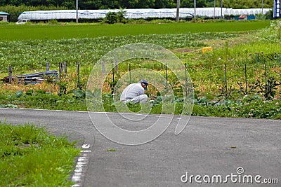 Japanese farmer working in the countryside Editorial Stock Photo