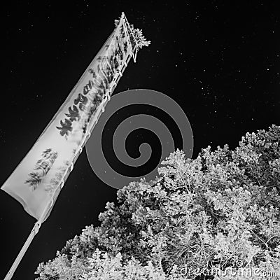 A Japanese Flag at New Years Stock Photo