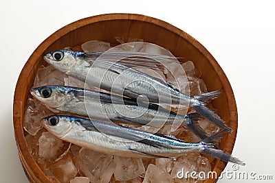 Japanese flying fish, Aichi Prefecture Stock Photo