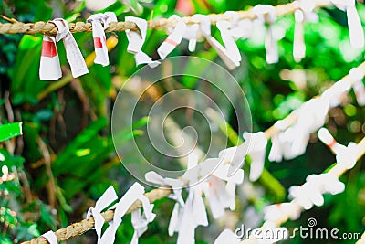 Japanese fortunes tied Editorial Stock Photo
