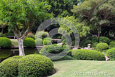 Japanese garden Stock Photo