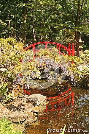 Japanese Garden Stock Photo