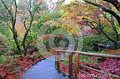 Japanese garden Stock Photo