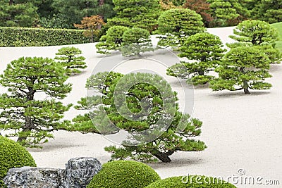Japanese garden, adachi. Coniferous trees Stock Photo