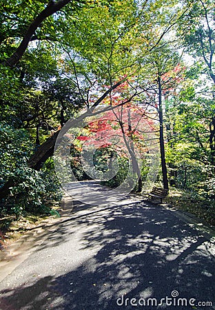 Japanese garden in autumn, Tokyo, Japan Stock Photo