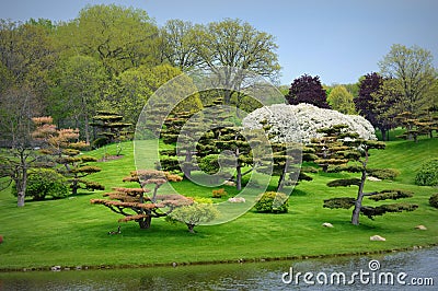 Japanese Garden Stock Photo