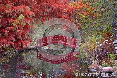 Japanese garden in fall Stock Photo