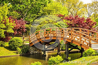 Japanese Garden Footbridge Stock Photo