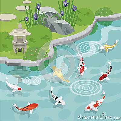 Japanese garden with koi pond Vector Illustration