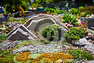 Japanese garden with moss growing peacefully around stacked mountain rock with tiny bonsai trees Stock Photo