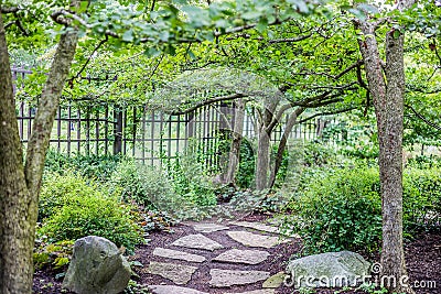 Stone Path Shaded by the Leaves of Trees Stock Photo