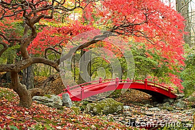 Japanese Garden and red bridge Stock Photo