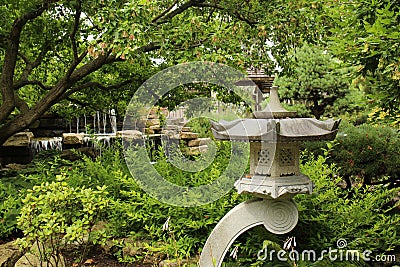 A Japanese garden with a stone lantern, Maple tree, shrubs, ferns and a stone waterfall in Wisconsin Stock Photo