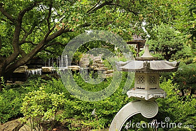 A Japanese garden with a stone lantern, Maple tree, shrubs, ferns and a stone waterfall at Rotary Botanic Gardens in Wisconsin Stock Photo