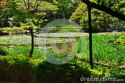Japanese garden and water lily, Kyoto Japan. Editorial Stock Photo