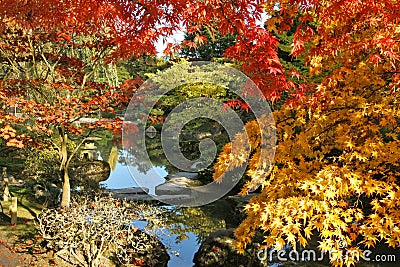 Japanese Gardens Stock Photo