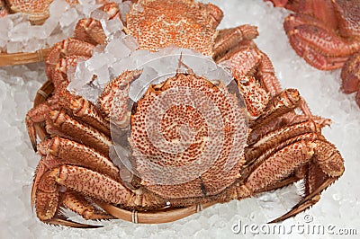 Japanese hairy crab Stock Photo