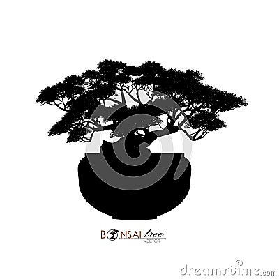 Bonsai tree, silhouette of bonsai, Detailed image, Vector illustration, Vector Illustration