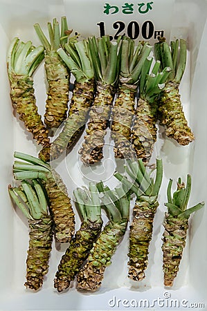 Japanese whole fresh Wasabi roots in box - Close up shot Stock Photo