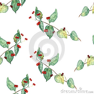 Japanese Honeysuckle Lonicera japonica, golden and silver honeysuckle leaves and ripe red berries close up branch, hand painted Cartoon Illustration