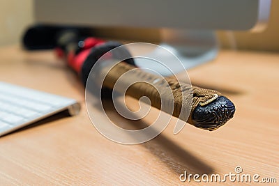 Japanese katana sword on a computer table in office room Stock Photo