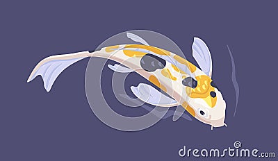 Japanese koi fish swimming in Asian garden pond. Chinese decorative spotty carp in water. Top view of oriental aquatic Vector Illustration