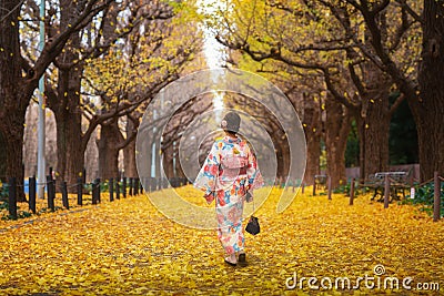 Japanese lady walk in yollow Ginko avenue Stock Photo